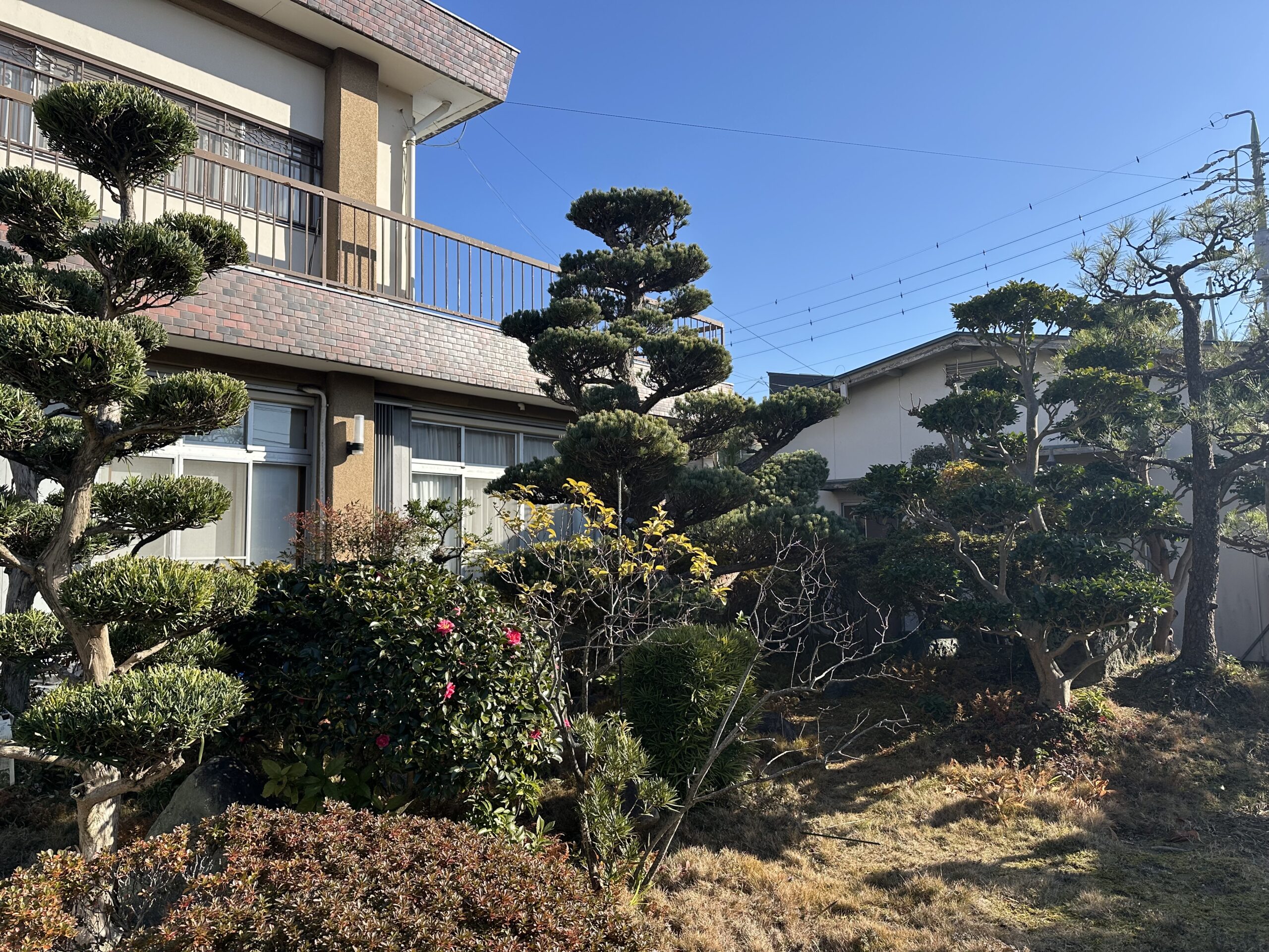 新年のご挨拶